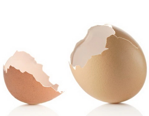 Màng vỏ trứng - giải pháp mới giúp giảm khô khớp gối hiệu quả